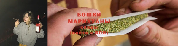 эйфоретик Белокуриха