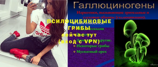эйфоретик Белокуриха