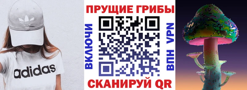 сколько стоит Бородино Псилоцибиновые грибы мухоморы